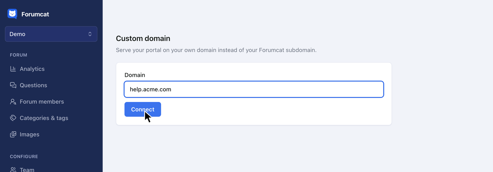 The custom domain page with a domain typed in, ready to connect.